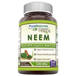 Ним, Neem, Pure Naturals, 500 мг, 240 вегетарианских капсул